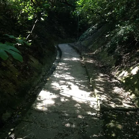 Сasa de vacaciones Magali Sanary-sur-Mer