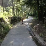 Magali *