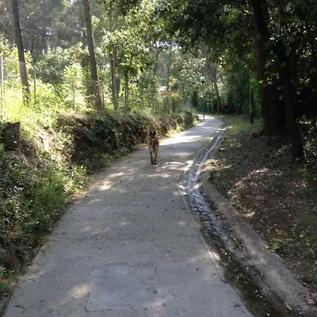 Magali *