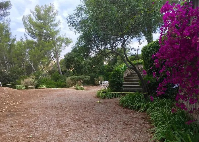 Vakantiehuis Magali Sanary-sur-Mer