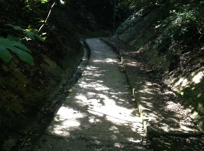 Vakantiehuis Magali Sanary-sur-Mer